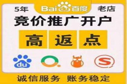 竞价推广SEM托管实战案例分析